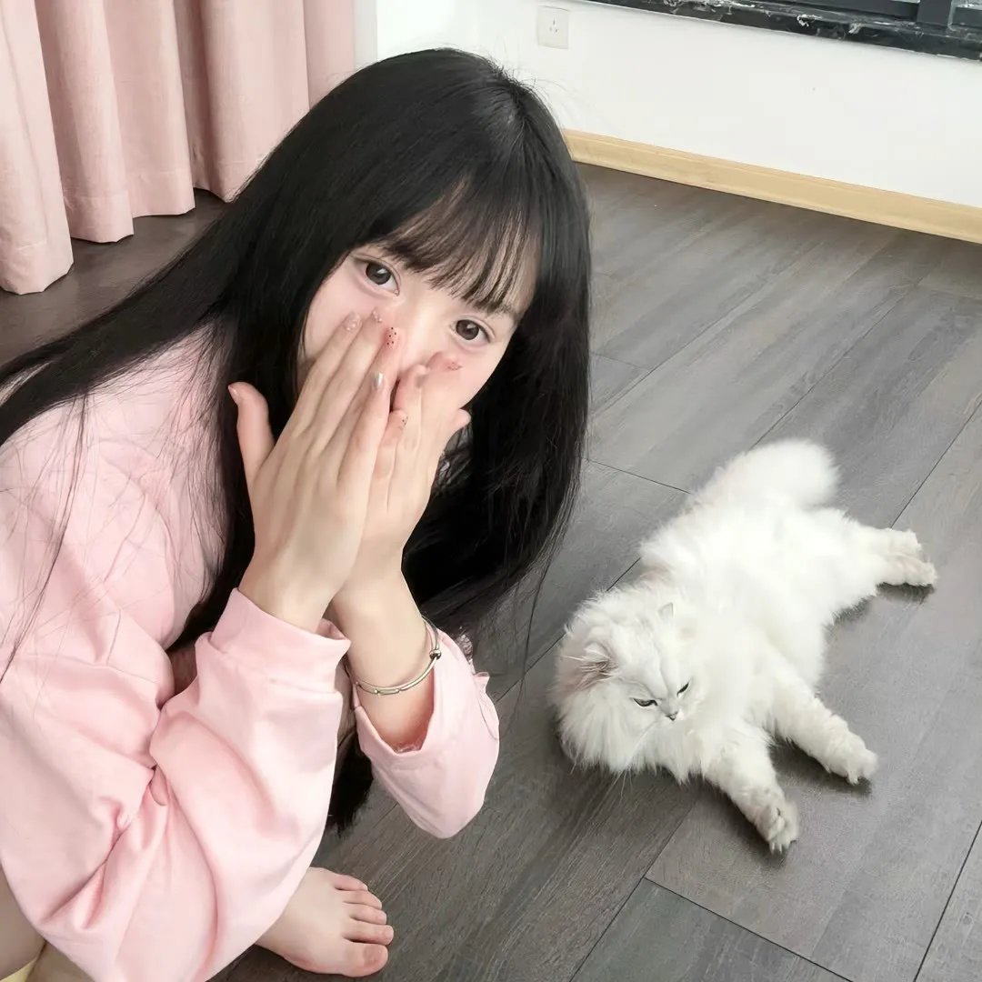 黑鹰追缉令