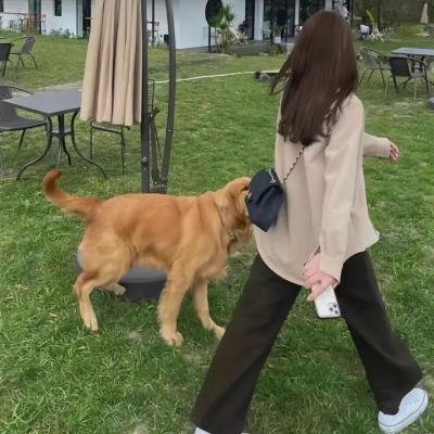 牵手